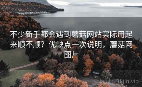 不少新手都会遇到蘑菇网站实际用起来顺不顺？优缺点一次说明，蘑菇网图片