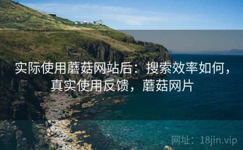 实际使用蘑菇网站后：搜索效率如何，真实使用反馈，蘑菇网片