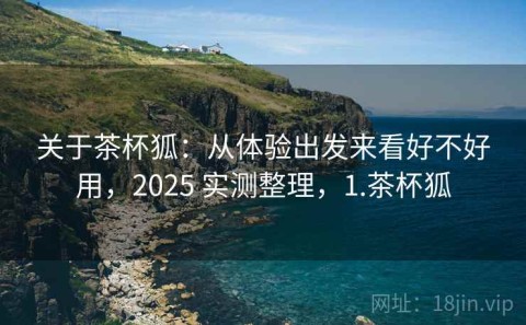关于茶杯狐：从体验出发来看好不好用，2025 实测整理，1.茶杯狐