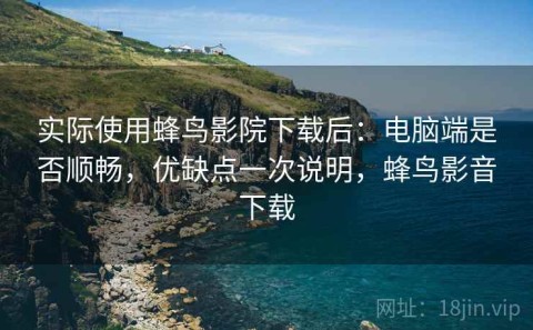 实际使用蜂鸟影院下载后：电脑端是否顺畅，优缺点一次说明，蜂鸟影音下载