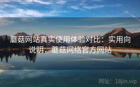 蘑菇网站真实使用体验对比：实用向说明，蘑菇网络官方网站
