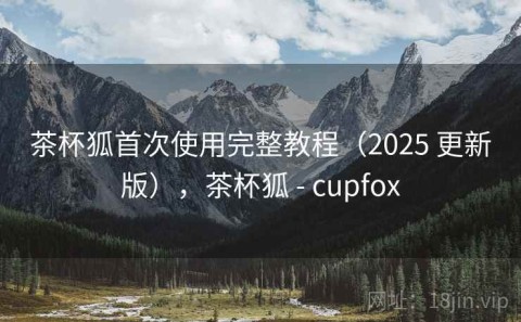 茶杯狐首次使用完整教程（2025 更新版），茶杯狐 - cupfox