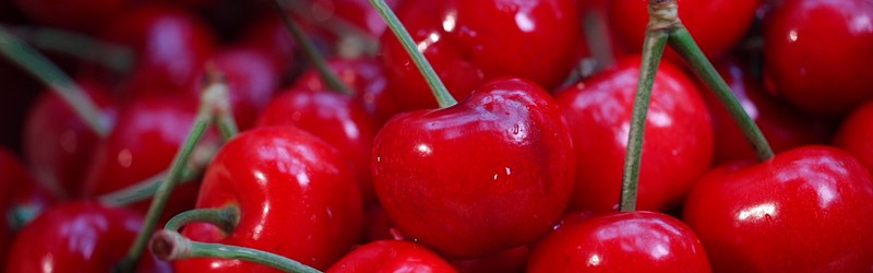 樱桃视频防走失应急通道｜樱桃影视官网入口备份页