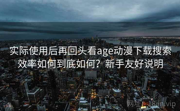 实际使用后再回头看age动漫下载搜索效率如何到底如何？新手友好说明