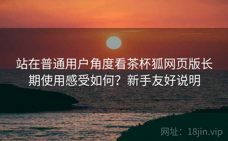 站在普通用户角度看茶杯狐网页版长期使用感受如何？新手友好说明