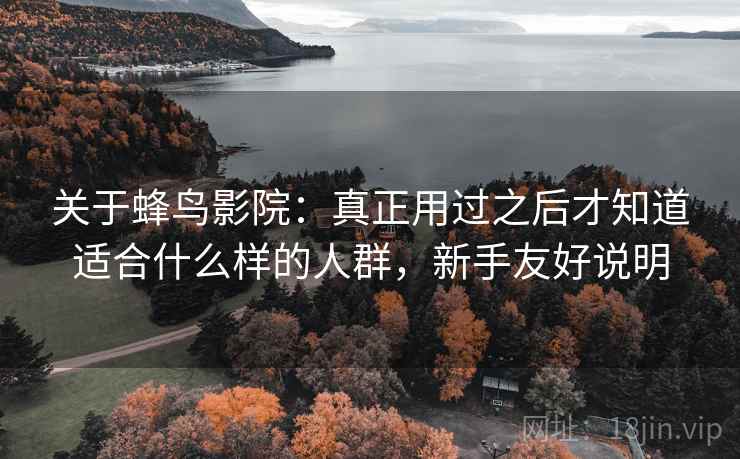 关于蜂鸟影院：真正用过之后才知道适合什么样的人群，新手友好说明