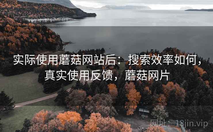 实际使用蘑菇网站后：搜索效率如何，真实使用反馈，蘑菇网片