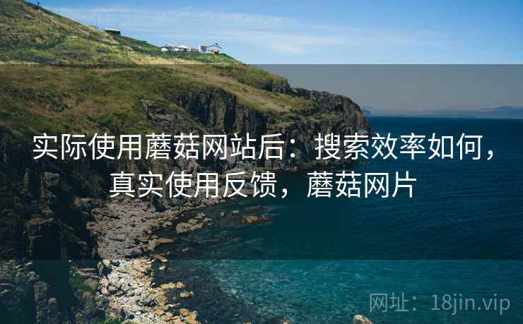 实际使用蘑菇网站后：搜索效率如何，真实使用反馈，蘑菇网片