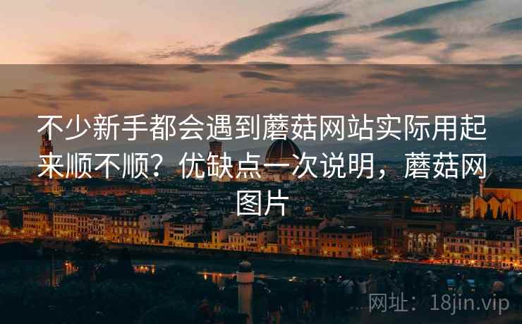 不少新手都会遇到蘑菇网站实际用起来顺不顺?优缺点一次说明,蘑菇网图片 不少新手都会遇到蘑菇网站实际用起来顺不顺?优缺点一次说明,蘑菇网图片